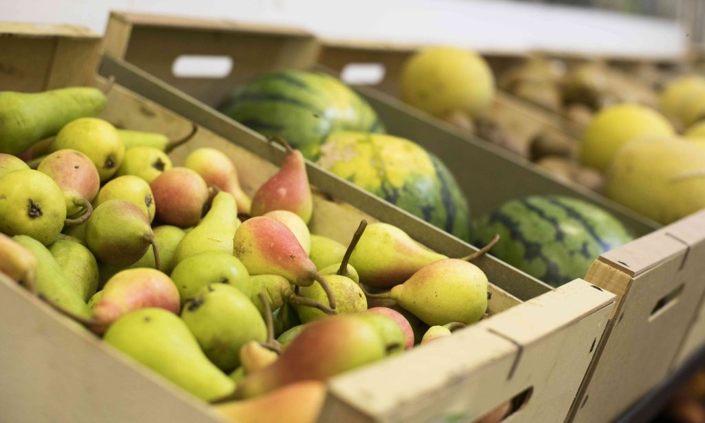 Essential Steps for Successful Food Imports
