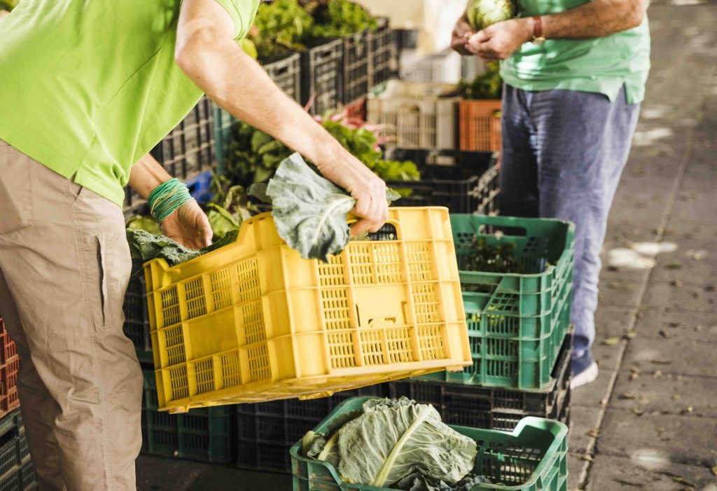 Mastering Supplier Selection for Food Import