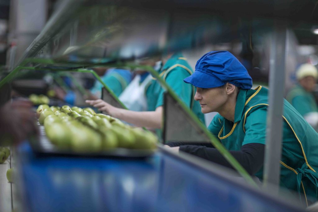 Tips for Importing Foods in Dubai